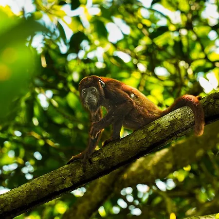 The Valley Tayrona Hostel- A Social Jungle Hostel El Zaino Exterior photo