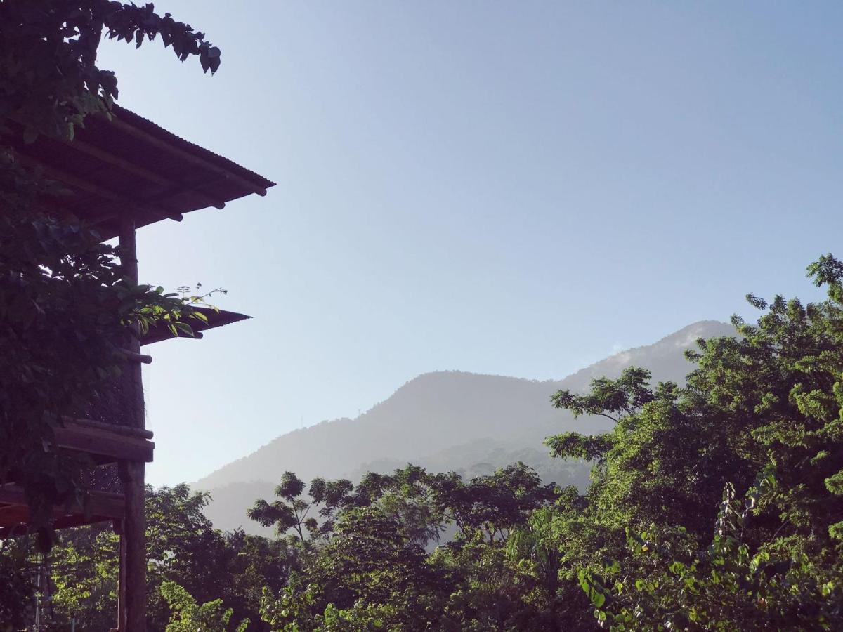 The Valley Tayrona Hostel- A Social Jungle *