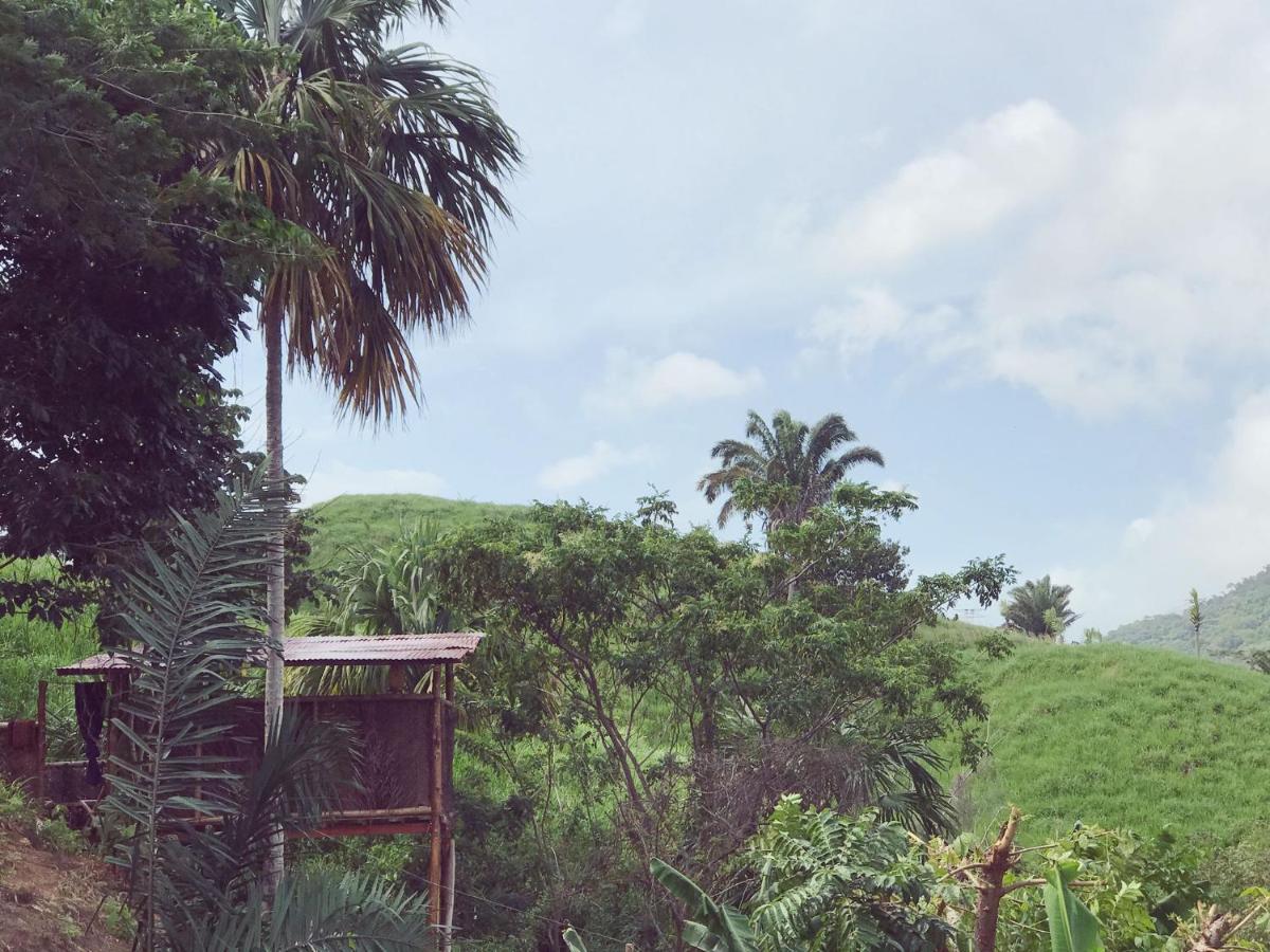 The Valley Tayrona -a Unique Nature Experience Auberge de jeunesse El Zaino