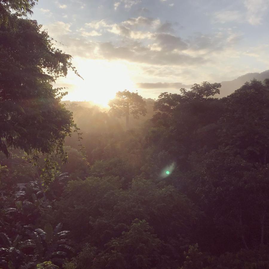 旅馆 The Valley Tayrona Hostel- A Social Jungle El Zaino