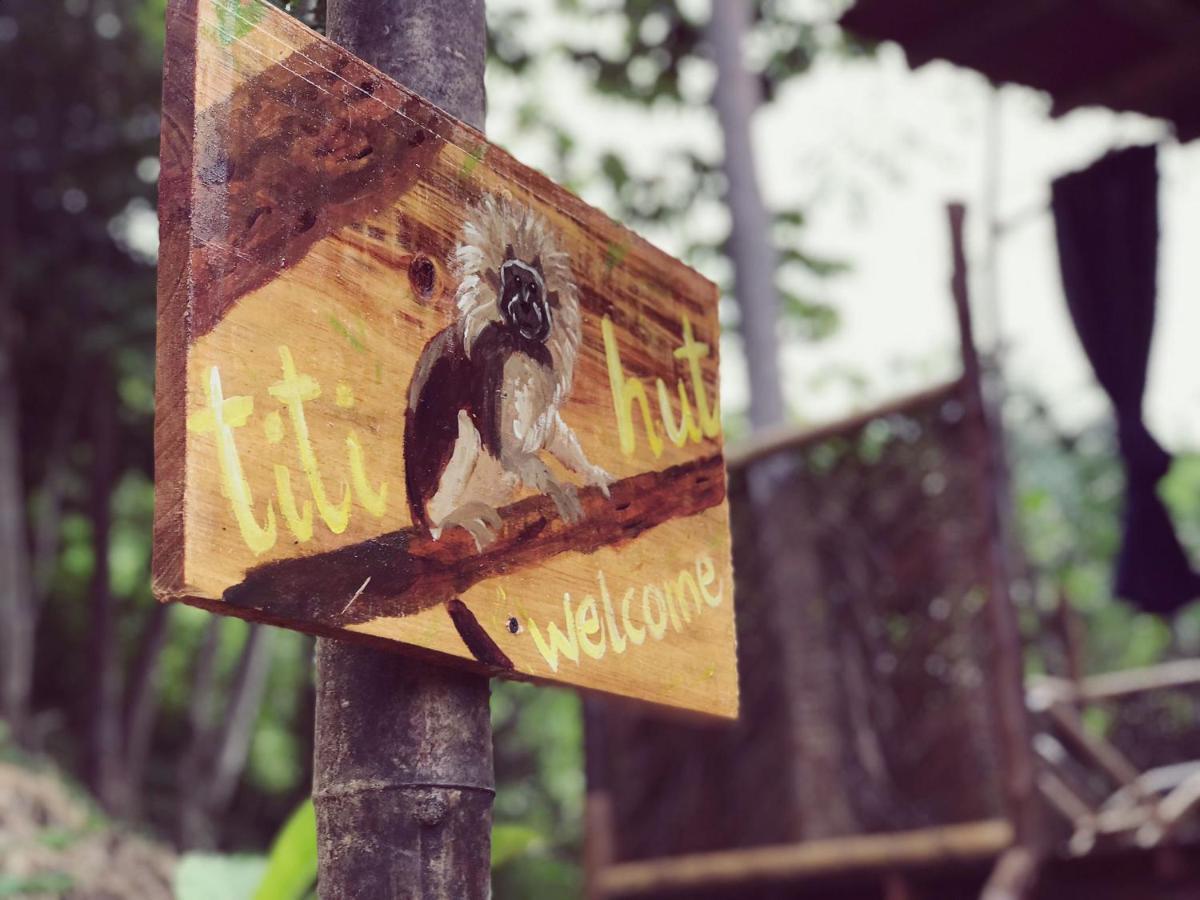 The Valley Tayrona Hostel- A Social Jungle El Zaino