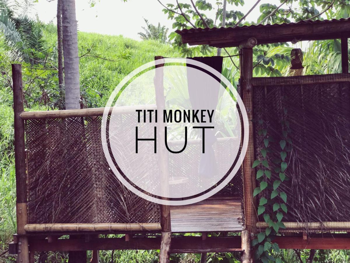旅馆 The Valley Tayrona Hostel- A Social Jungle
