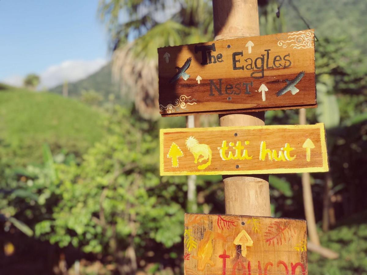 旅馆 The Valley Tayrona Hostel- A Social Jungle *