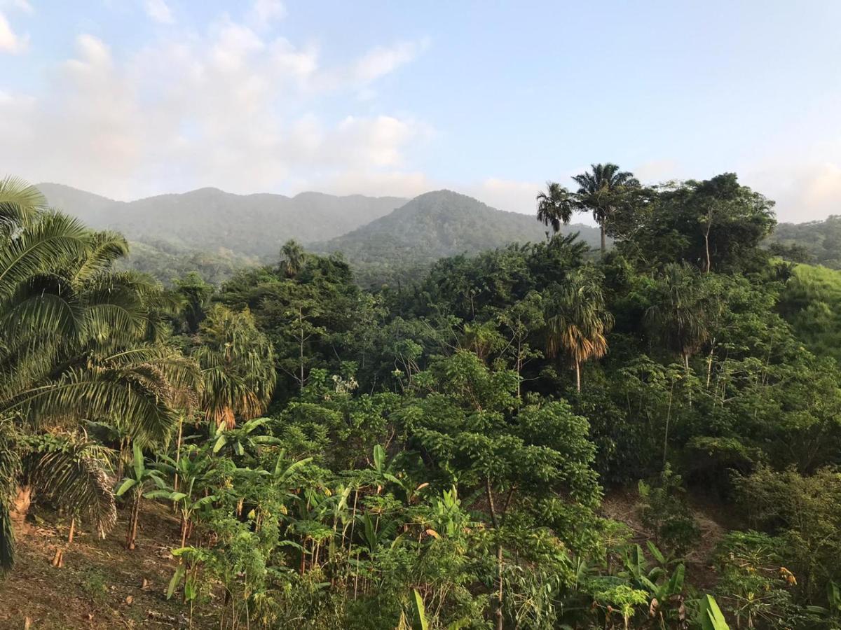 The Valley Tayrona -a Unique Nature Experience
