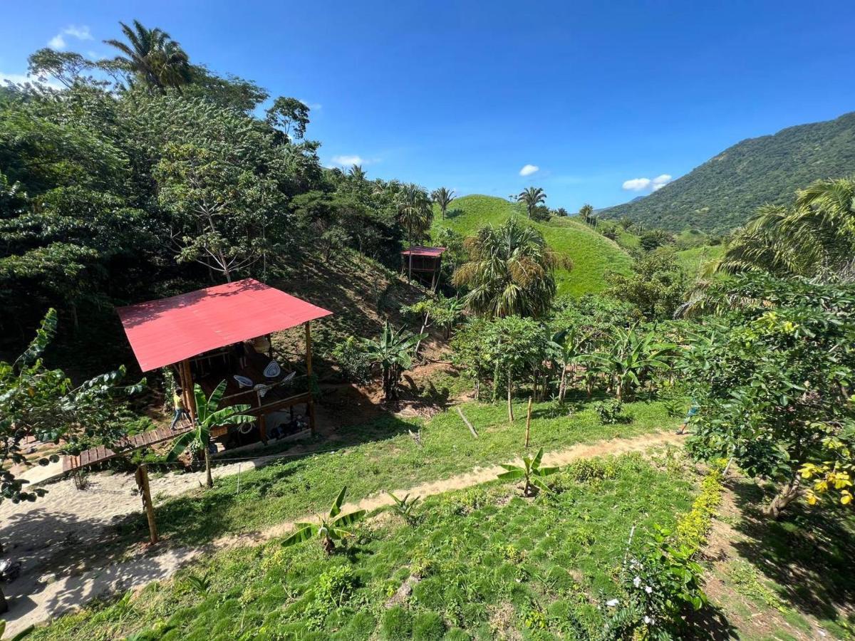Auberge de jeunesse The Valley Tayrona -a Unique Nature Experience El Zaino