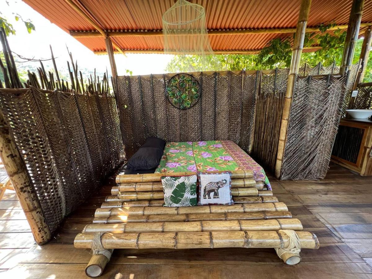 The Valley Tayrona Hostel- A Social Jungle El Zaino