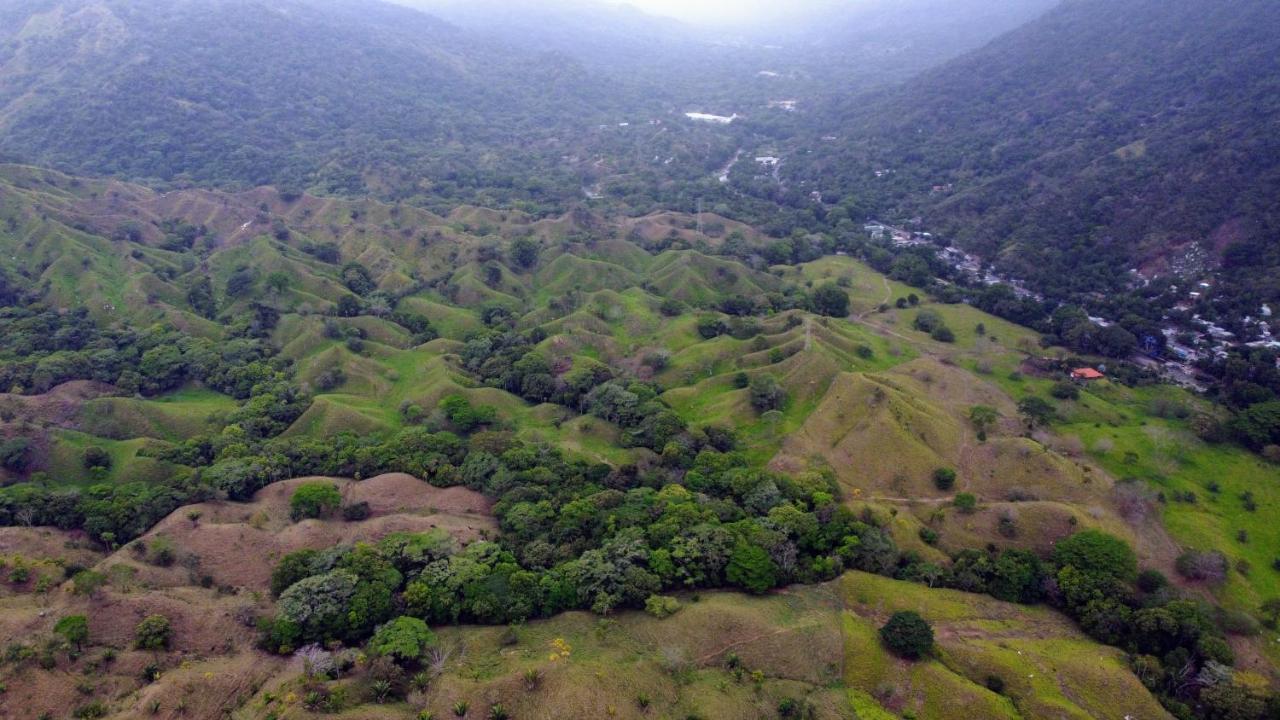 旅馆 The Valley Tayrona Hostel- A Social Jungle *
