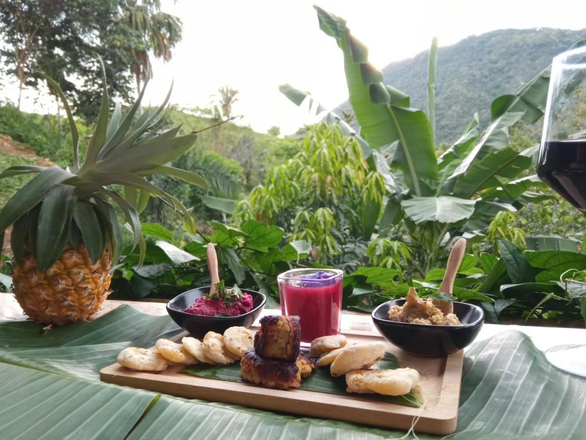 The Valley Tayrona -a Unique Nature Experience Auberge de jeunesse El Zaino