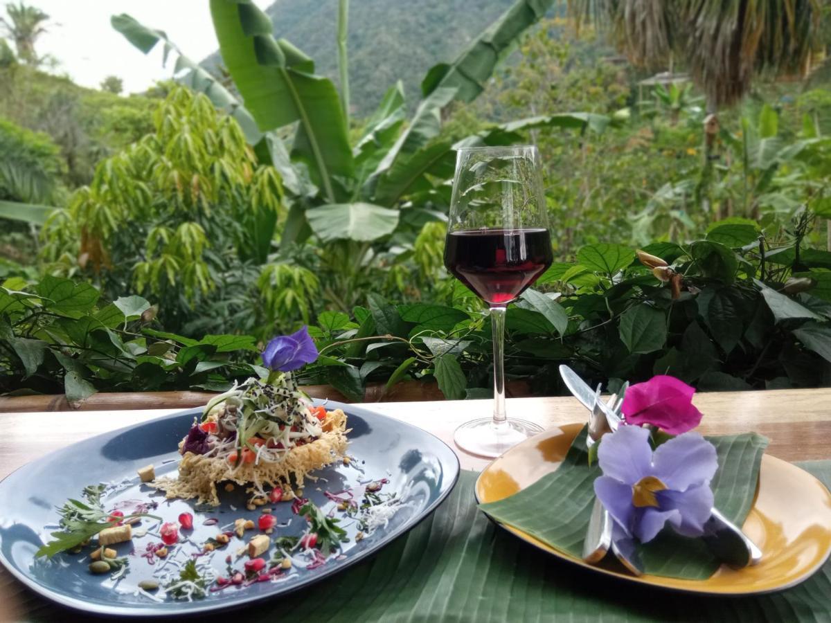 The Valley Tayrona -a Unique Nature Experience Auberge de jeunesse