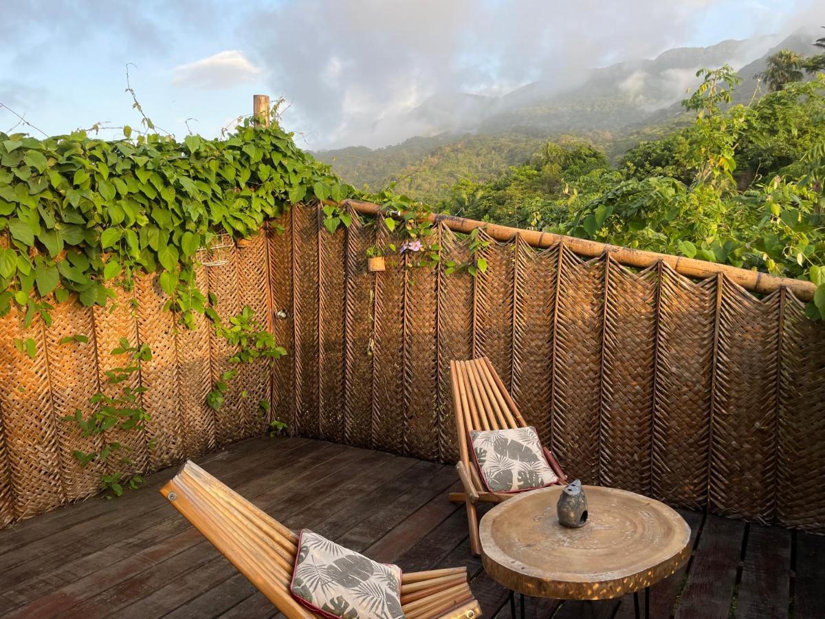 The Valley Tayrona Hostel- A Social Jungle El Zaino