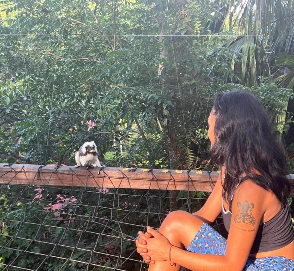 The Valley Tayrona Hostel- A Social Jungle 旅馆 El Zaino