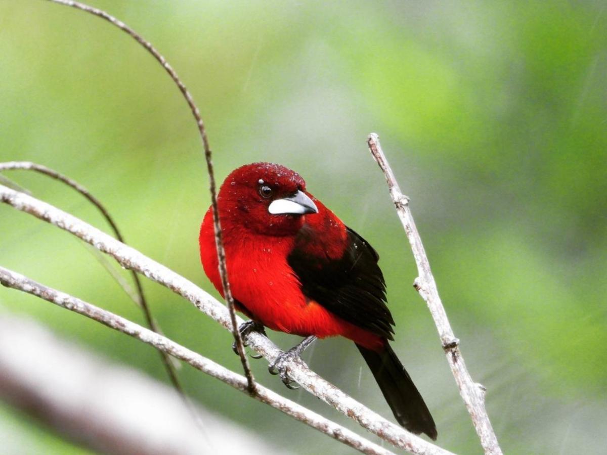 旅馆 The Valley Tayrona Hostel- A Social Jungle El Zaino