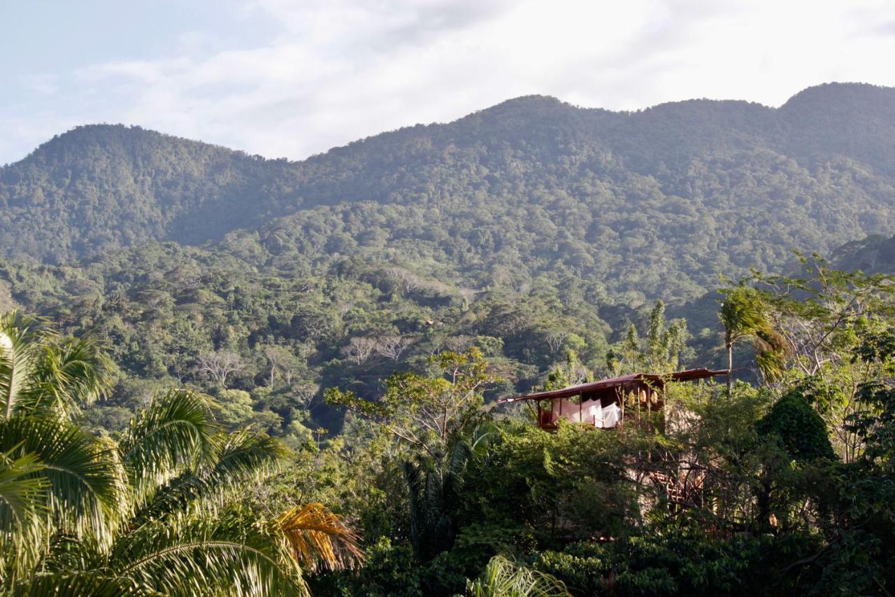 Auberge de jeunesse The Valley Tayrona -a Unique Nature Experience El Zaino