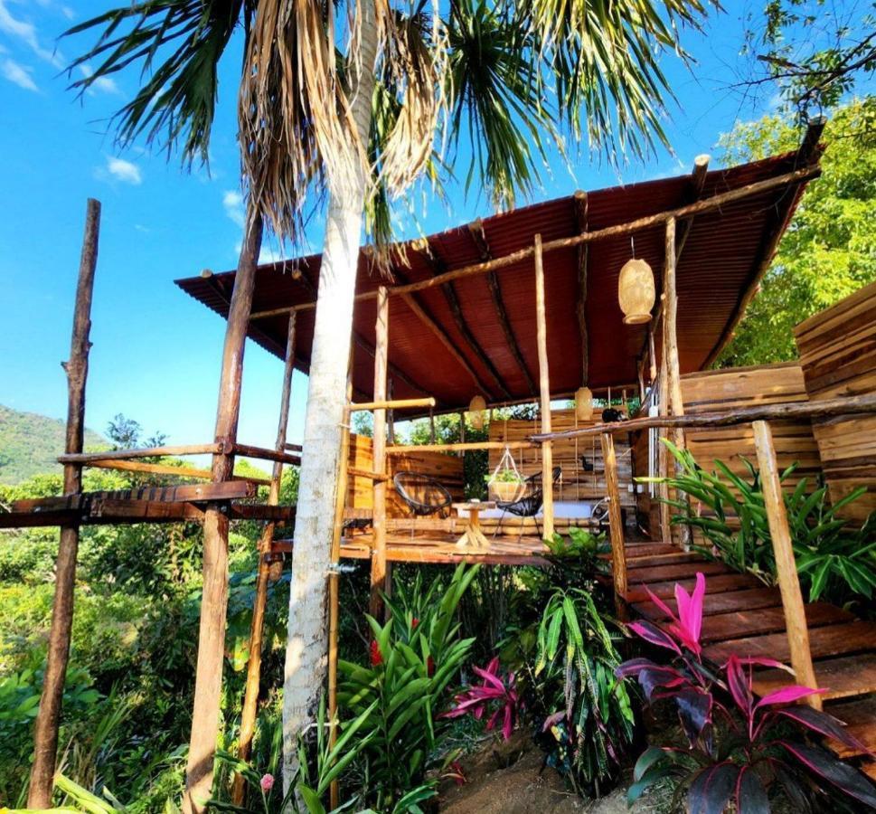 The Valley Tayrona Hostel- A Social Jungle