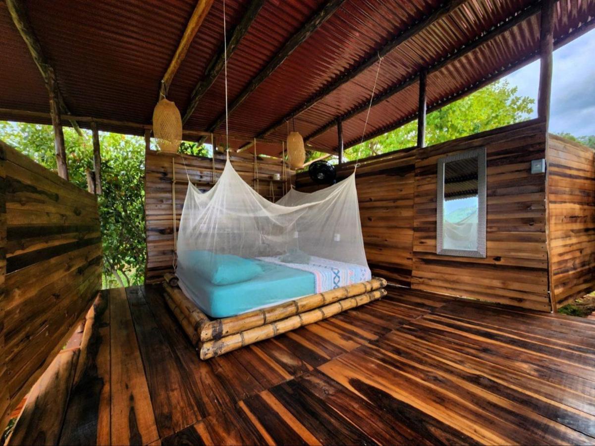 旅馆 The Valley Tayrona Hostel- A Social Jungle *
