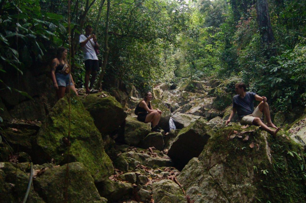 The Valley Tayrona Hostel- A Social Jungle El Zaino