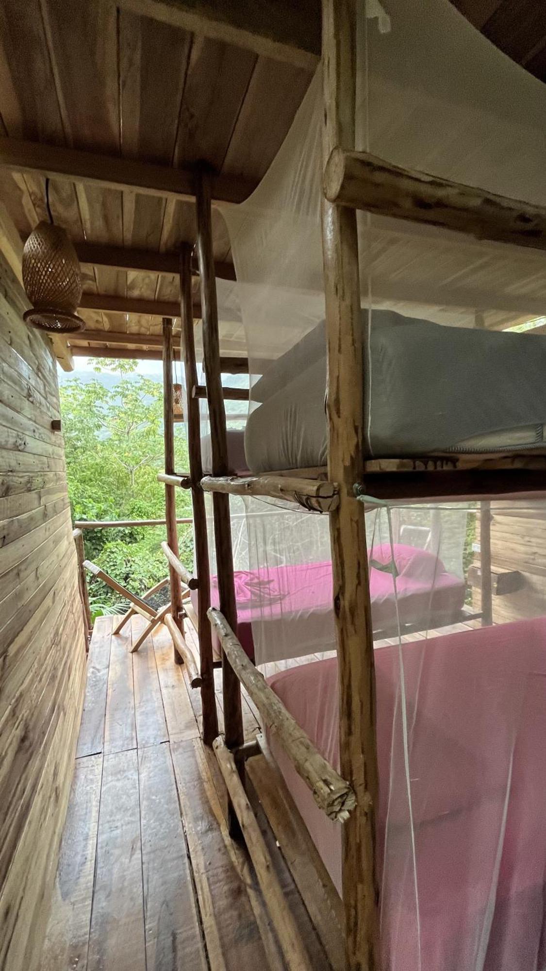 The Valley Tayrona Hostel- A Social Jungle *