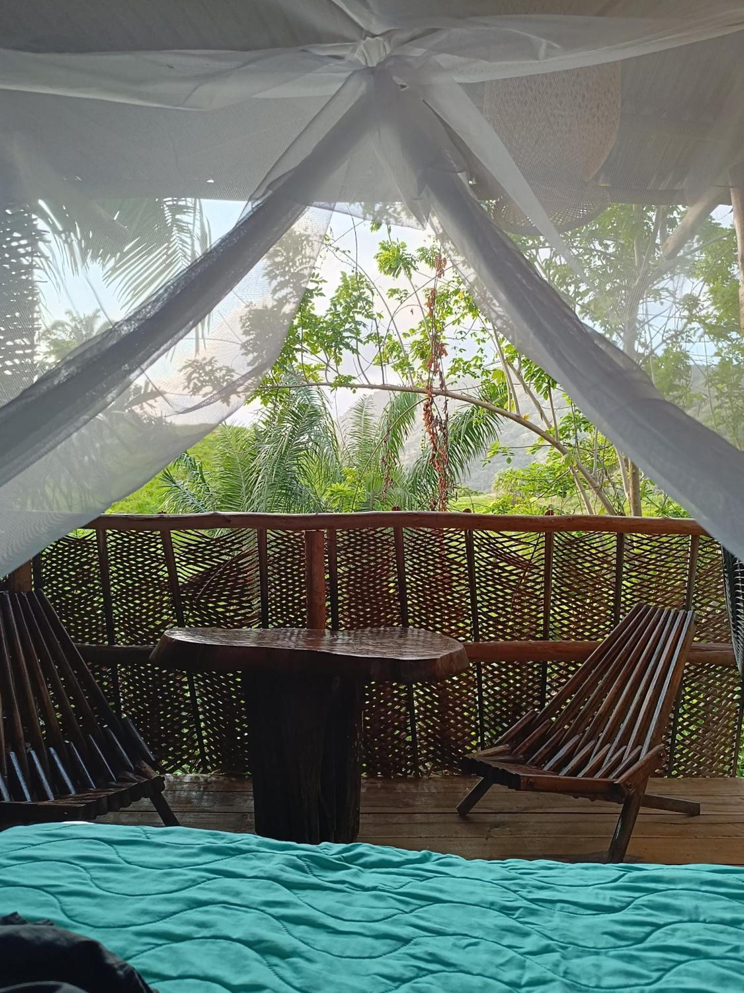 The Valley Tayrona Hostel- A Social Jungle