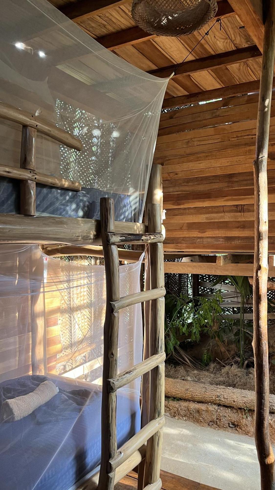 The Valley Tayrona Hostel- A Social Jungle