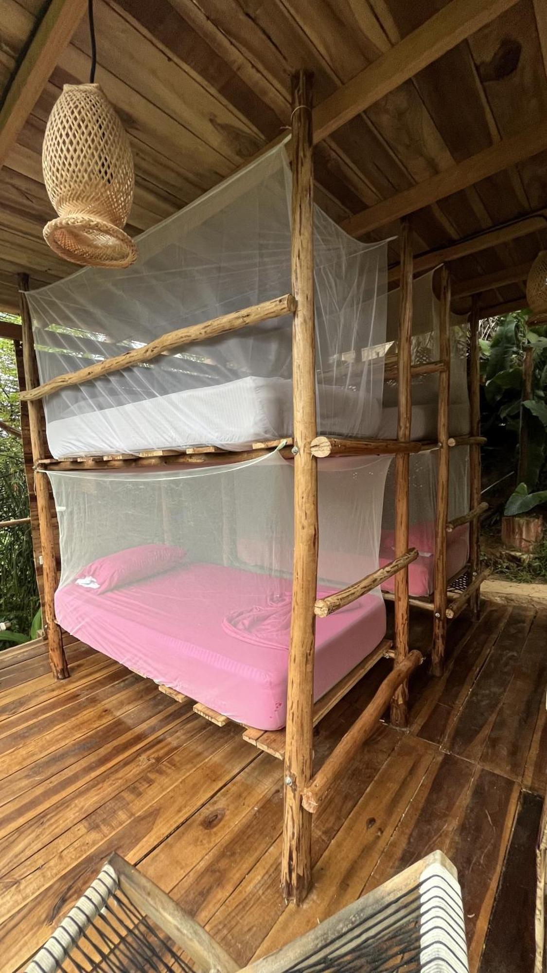 The Valley Tayrona Hostel- A Social Jungle