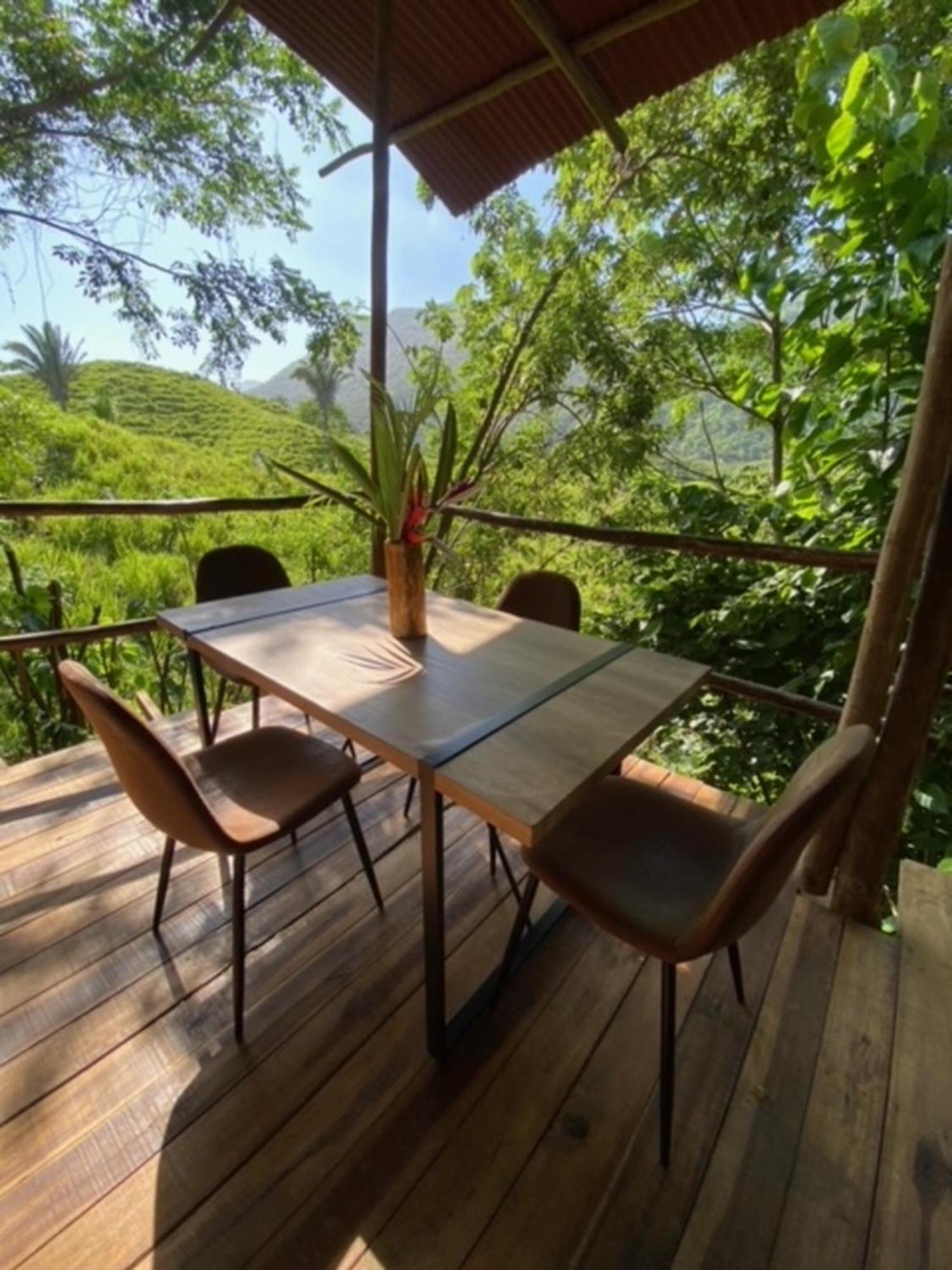 The Valley Tayrona Hostel- A Social Jungle *