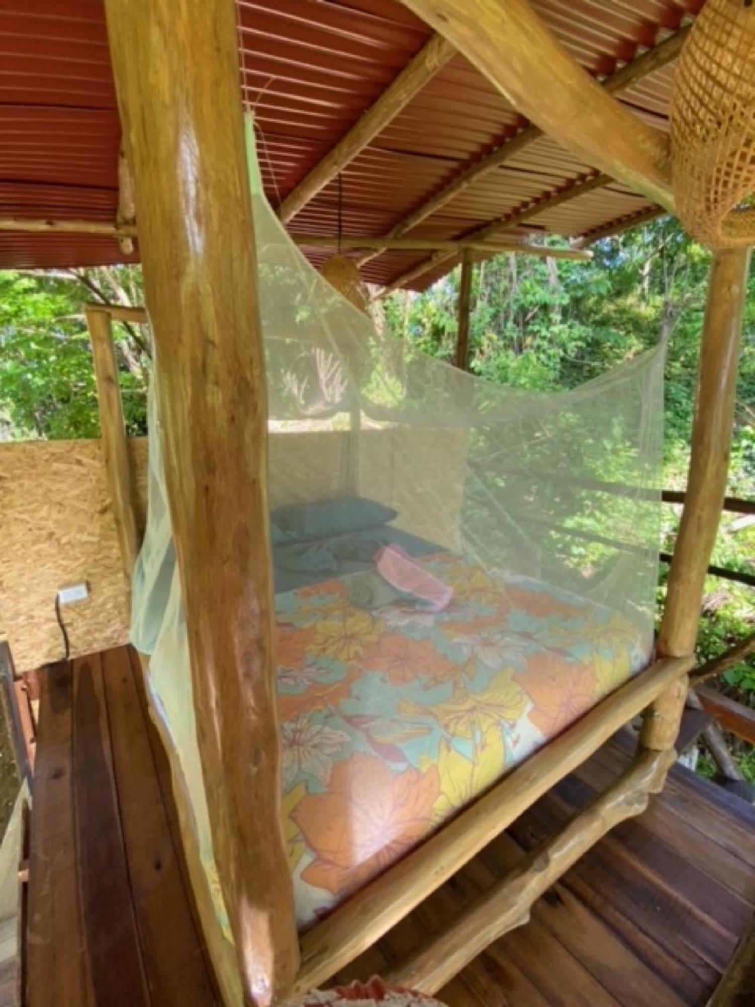 Hostel The Valley Tayrona Hostel- A Social Jungle
