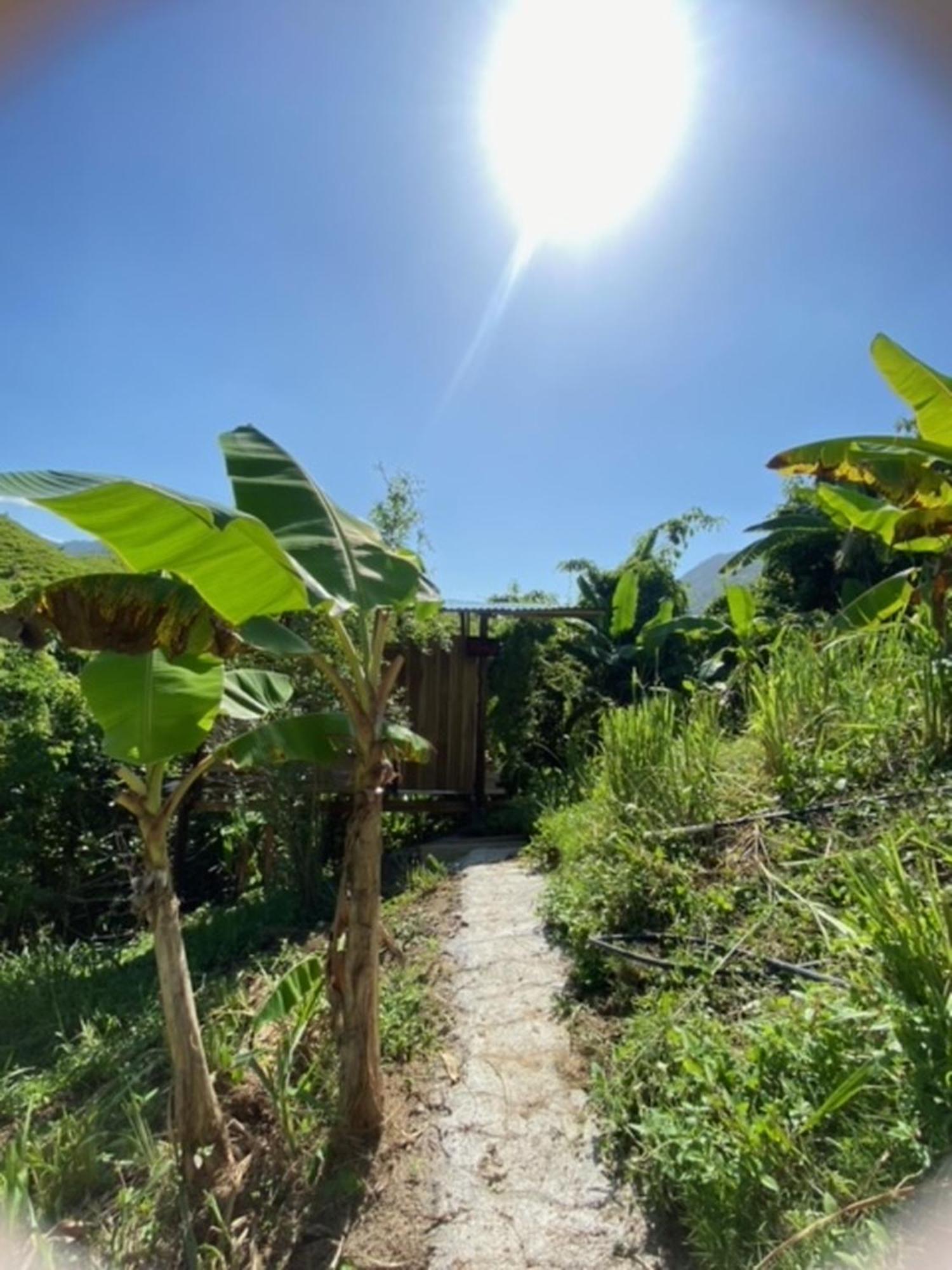 Hostel The Valley Tayrona Hostel- A Social Jungle *