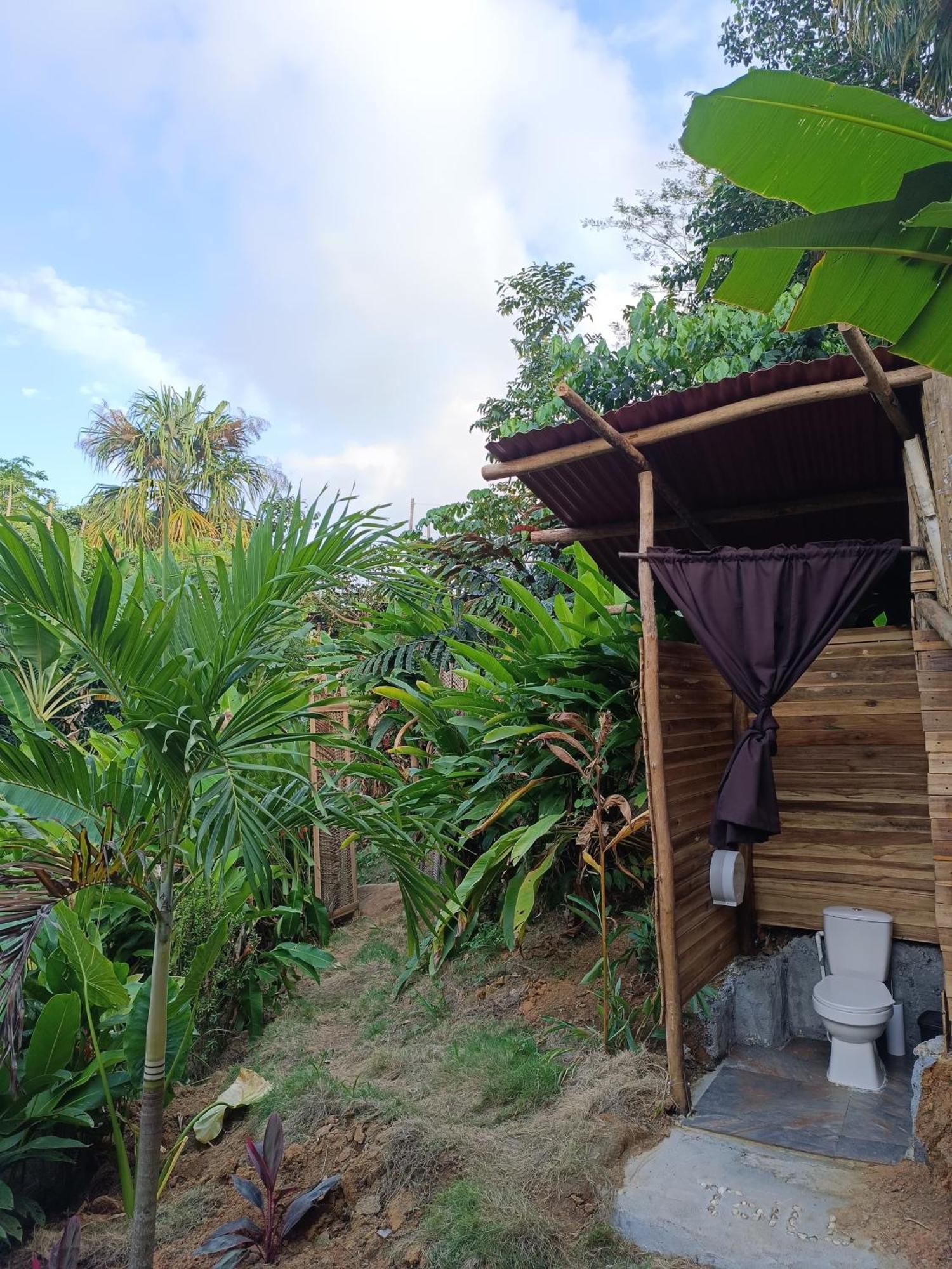 Hostel The Valley Tayrona Hostel- A Social Jungle *