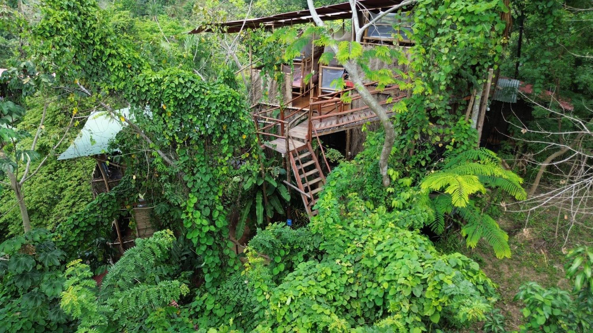 旅馆 The Valley Tayrona Hostel- A Social Jungle El Zaino