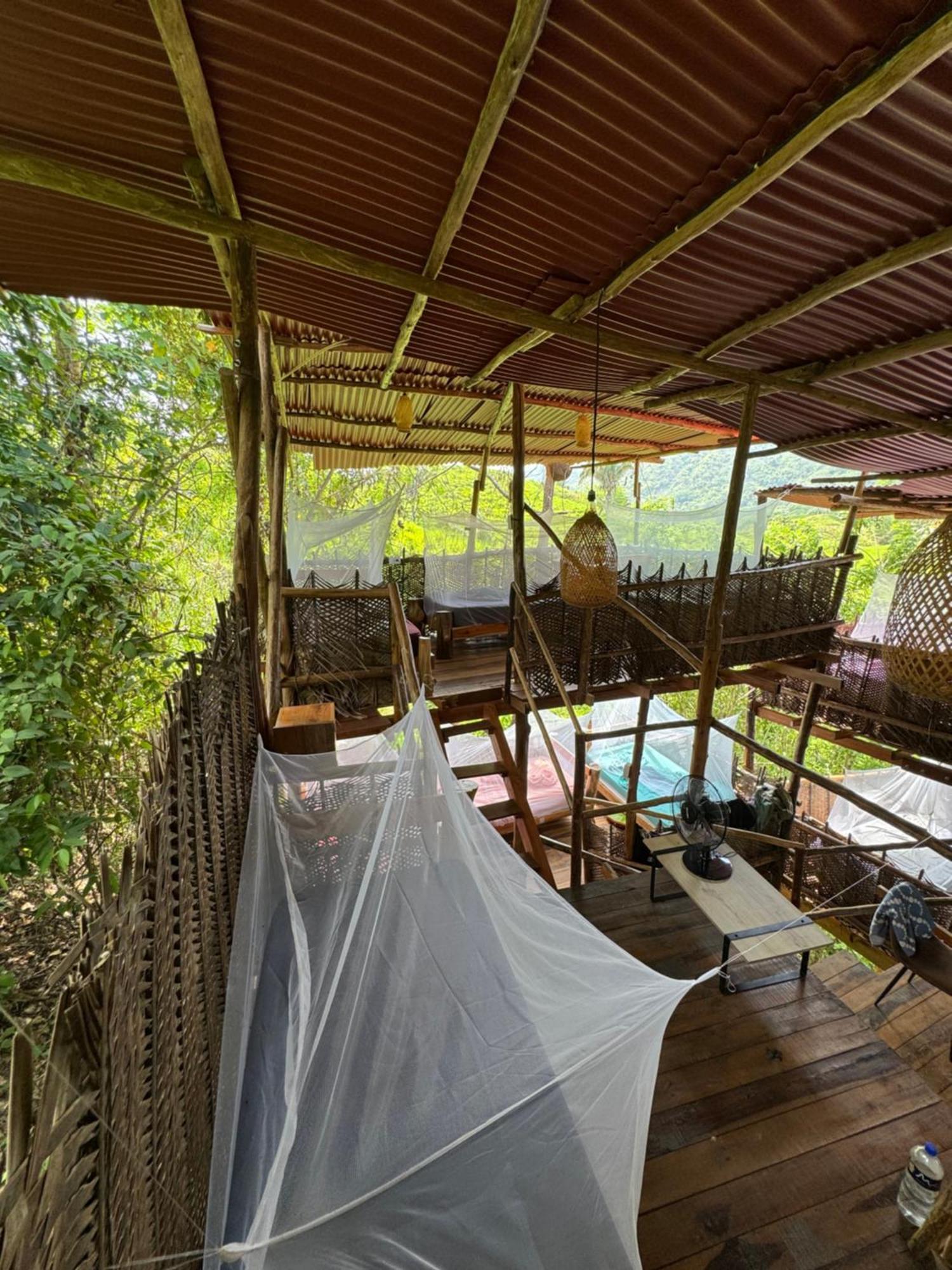 The Valley Tayrona Hostel- A Social Jungle