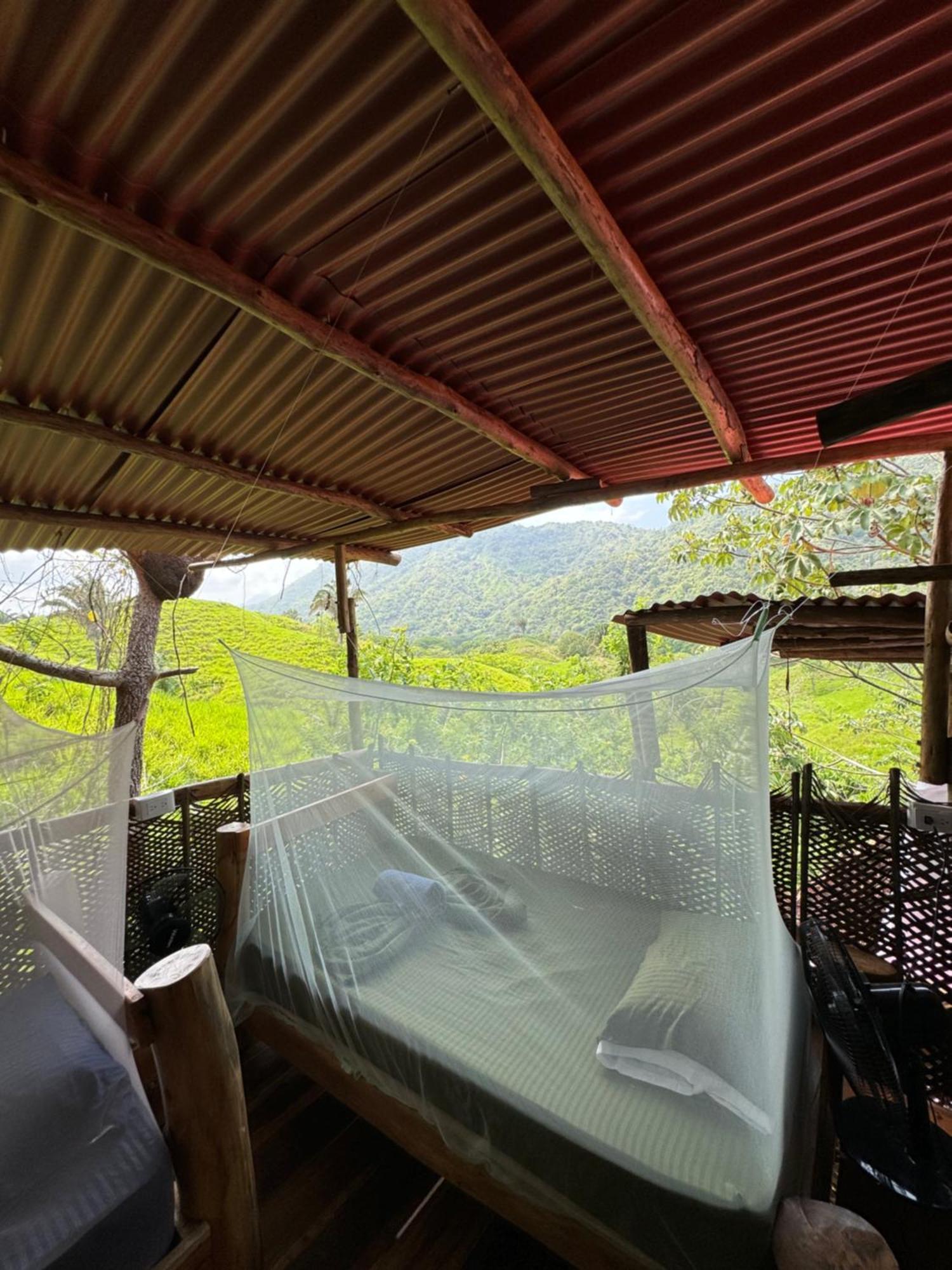 The Valley Tayrona Hostel- A Social Jungle 旅馆 El Zaino