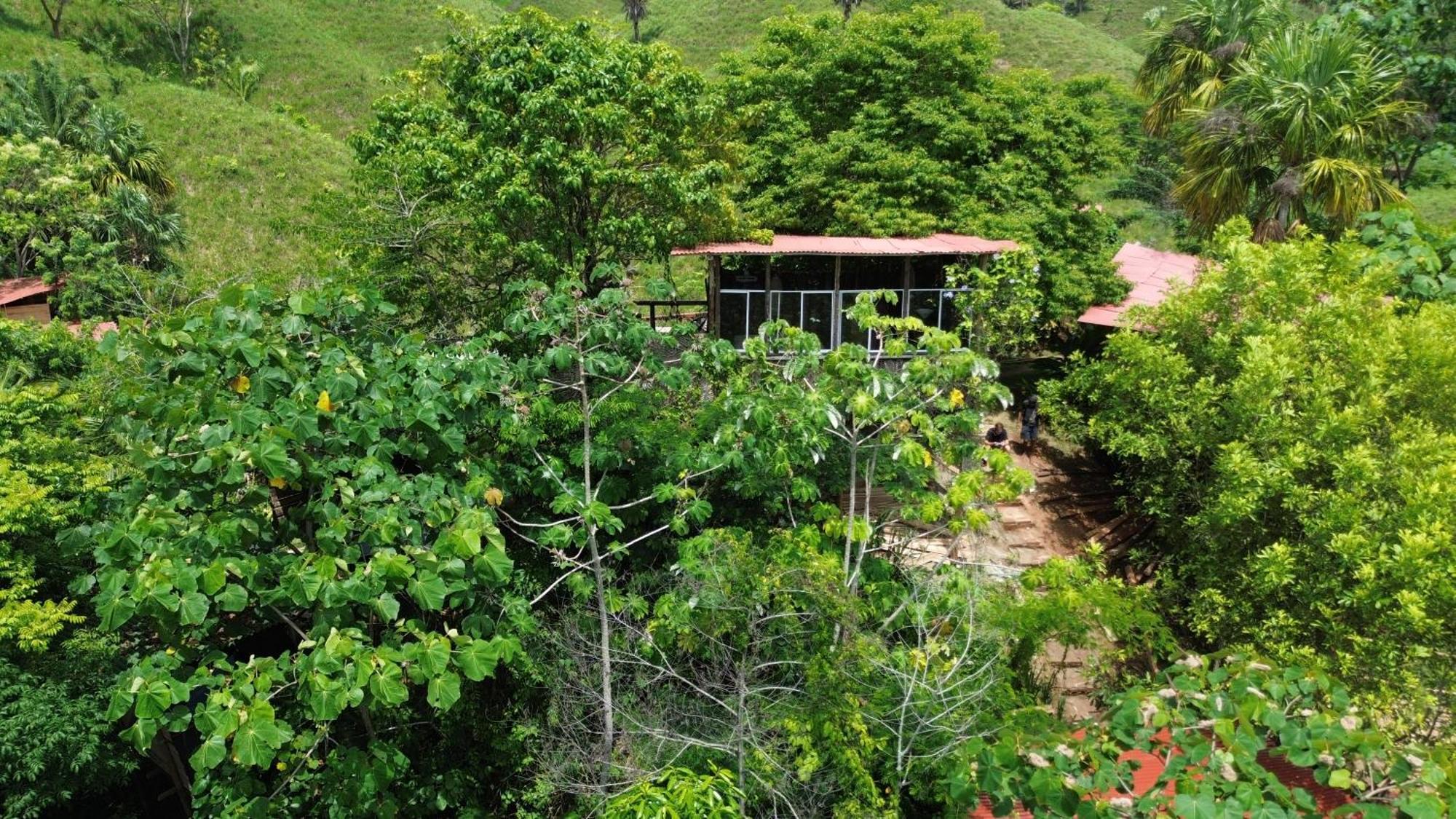 Auberge de jeunesse The Valley Tayrona -a Unique Nature Experience