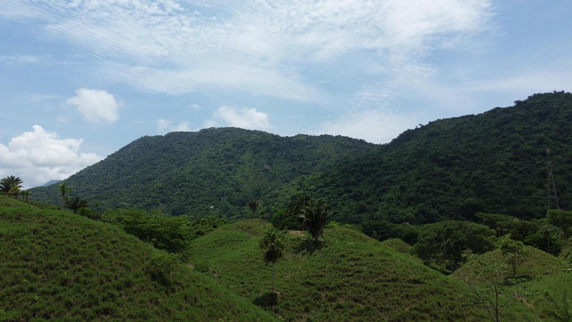 The Valley Tayrona Hostel- A Social Jungle