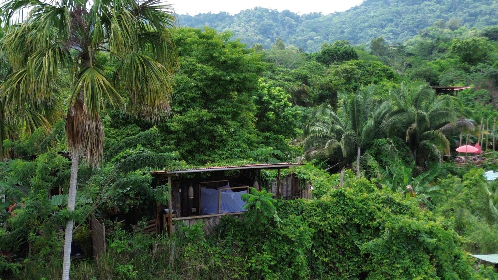 The Valley Tayrona -a Unique Nature Experience El Zaino