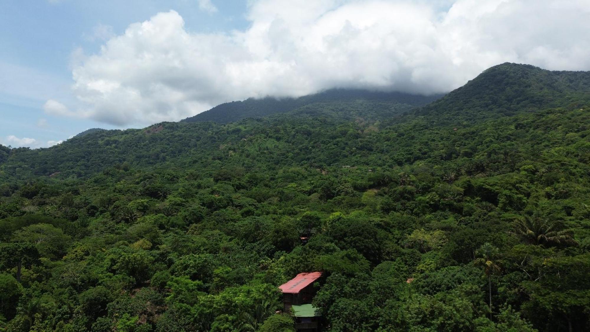 The Valley Tayrona Hostel- A Social Jungle 旅馆