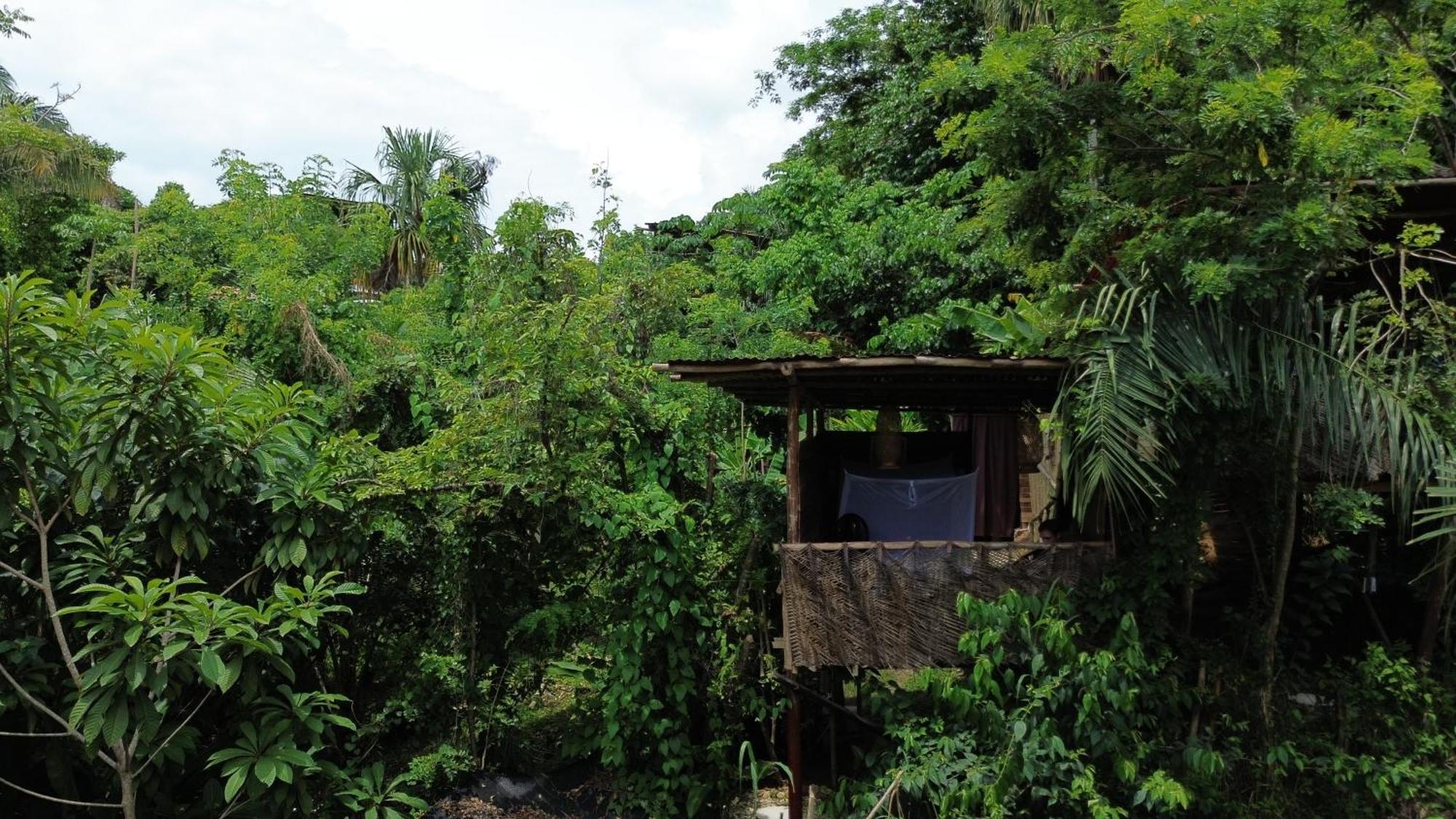 旅馆 The Valley Tayrona Hostel- A Social Jungle *
