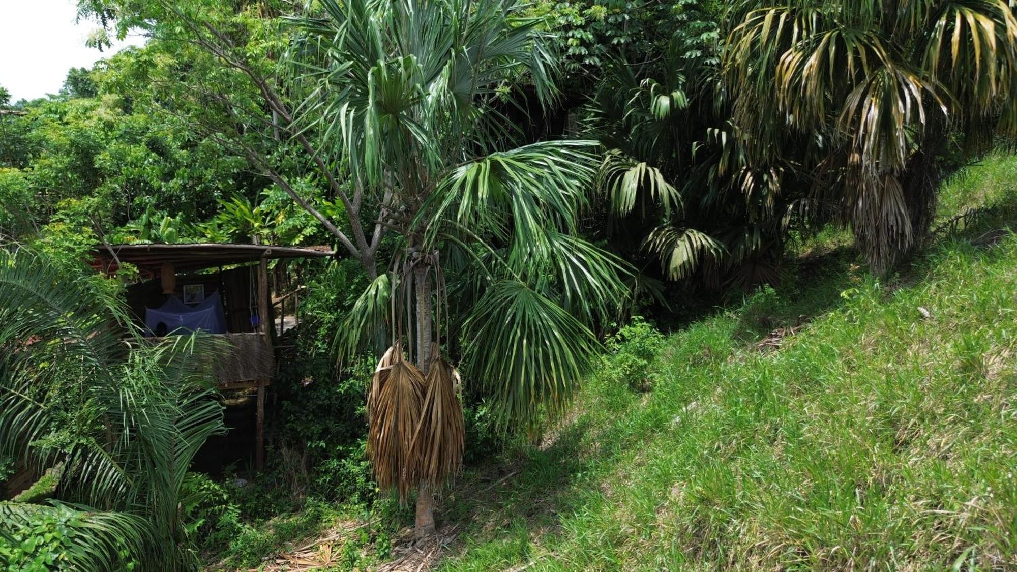The Valley Tayrona -a Unique Nature Experience * El Zaino