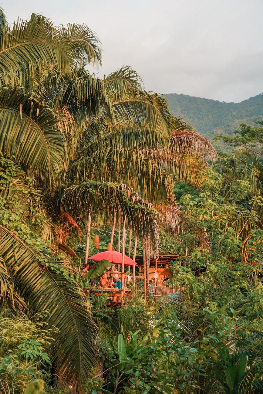 旅馆 The Valley Tayrona Hostel- A Social Jungle *