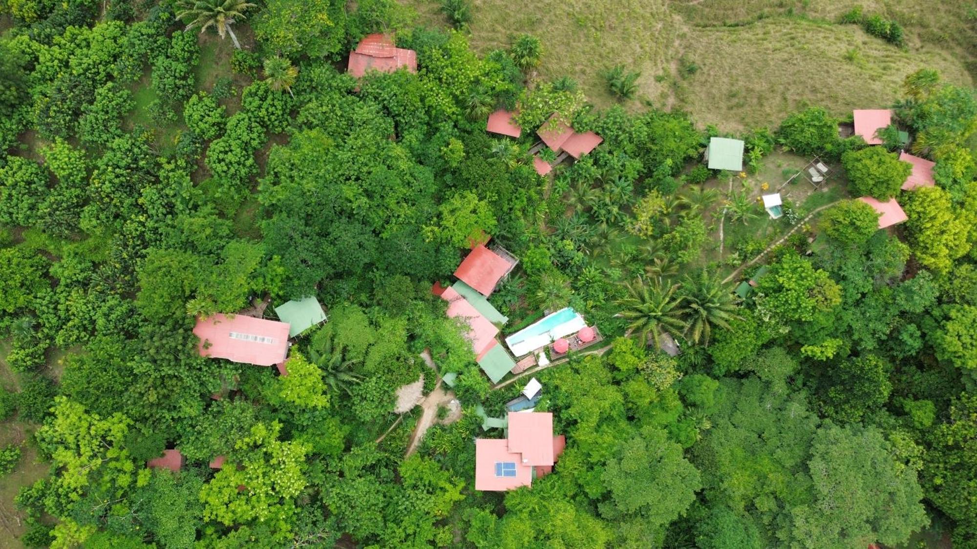 The Valley Tayrona -a Unique Nature Experience El Zaino