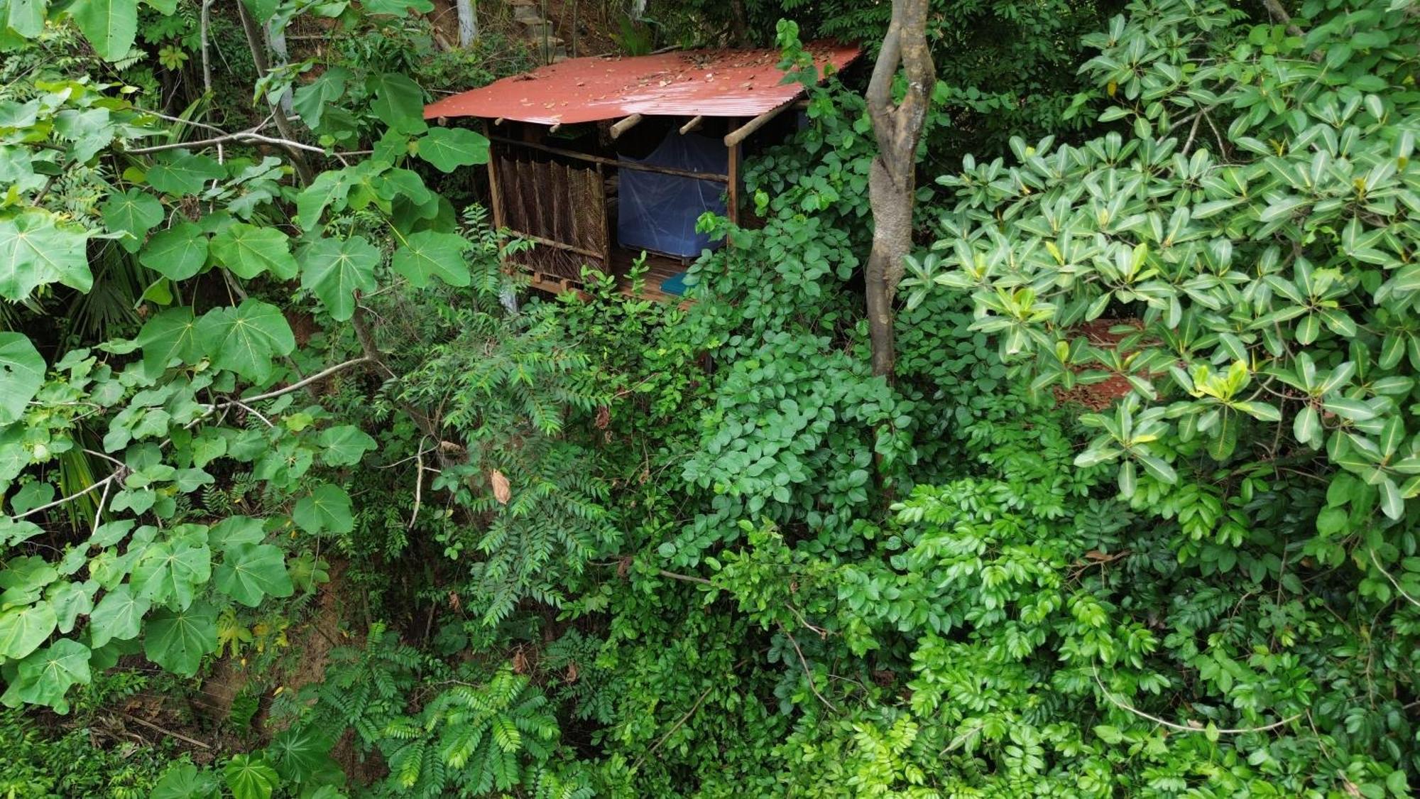 旅馆 The Valley Tayrona Hostel- A Social Jungle