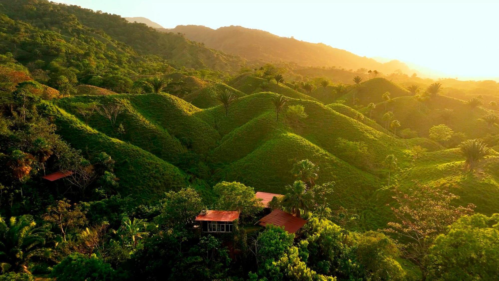 The Valley Tayrona Hostel- A Social Jungle