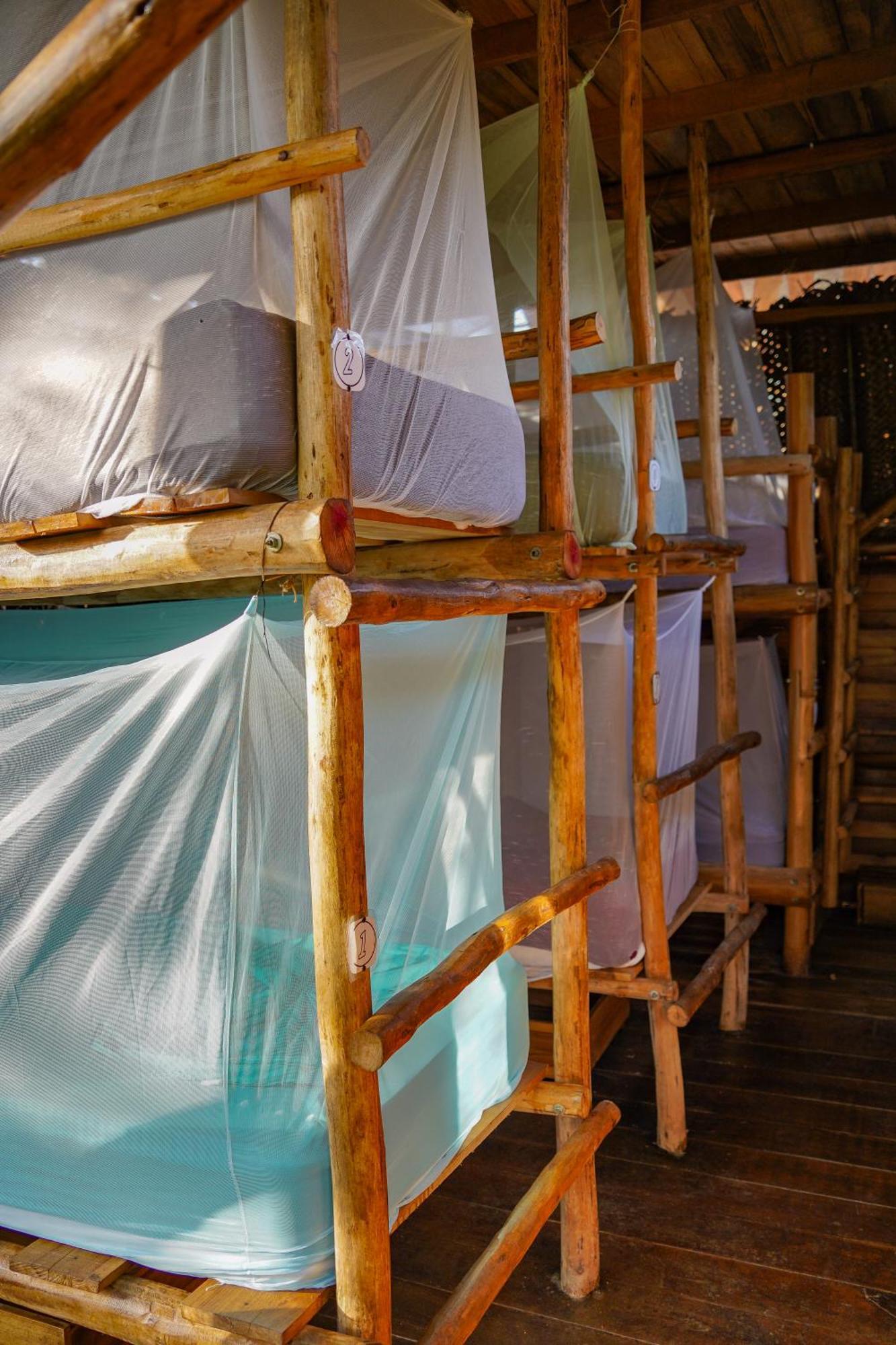 The Valley Tayrona Hostel- A Social Jungle 旅馆 El Zaino